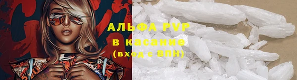 a pvp Белокуриха